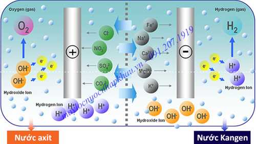 nước ion kiềm chứa nhiều hydrogen
