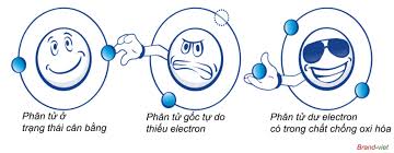Phân tử dư elctron trong chất chống oxy hóa