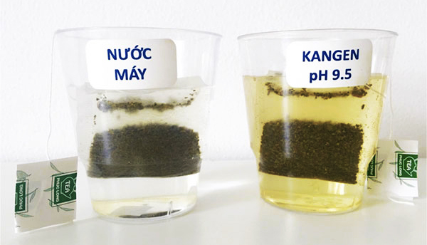 Thí nghiệm pha trà bằng nước ion kiềm - kangen